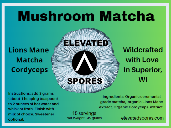 Mushroom Matcha