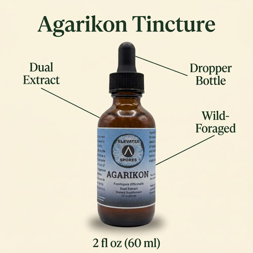 Agarikon Mushroom Tincture (Double Extract)