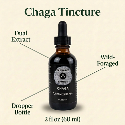 Chaga Tincture Dual Extract
