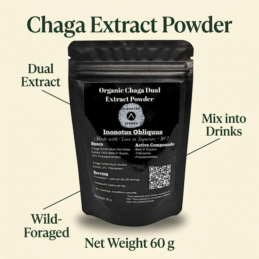 Chaga Extract (Powder)