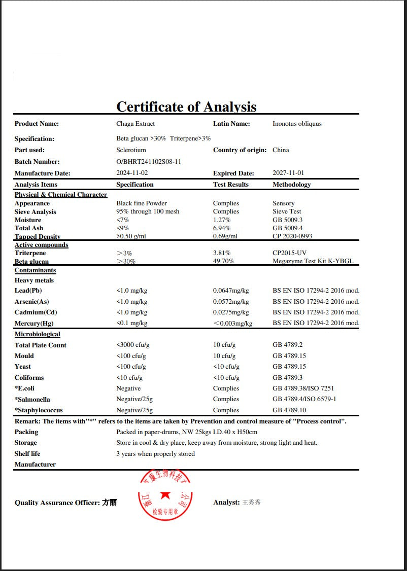 Chaga Extract Powder