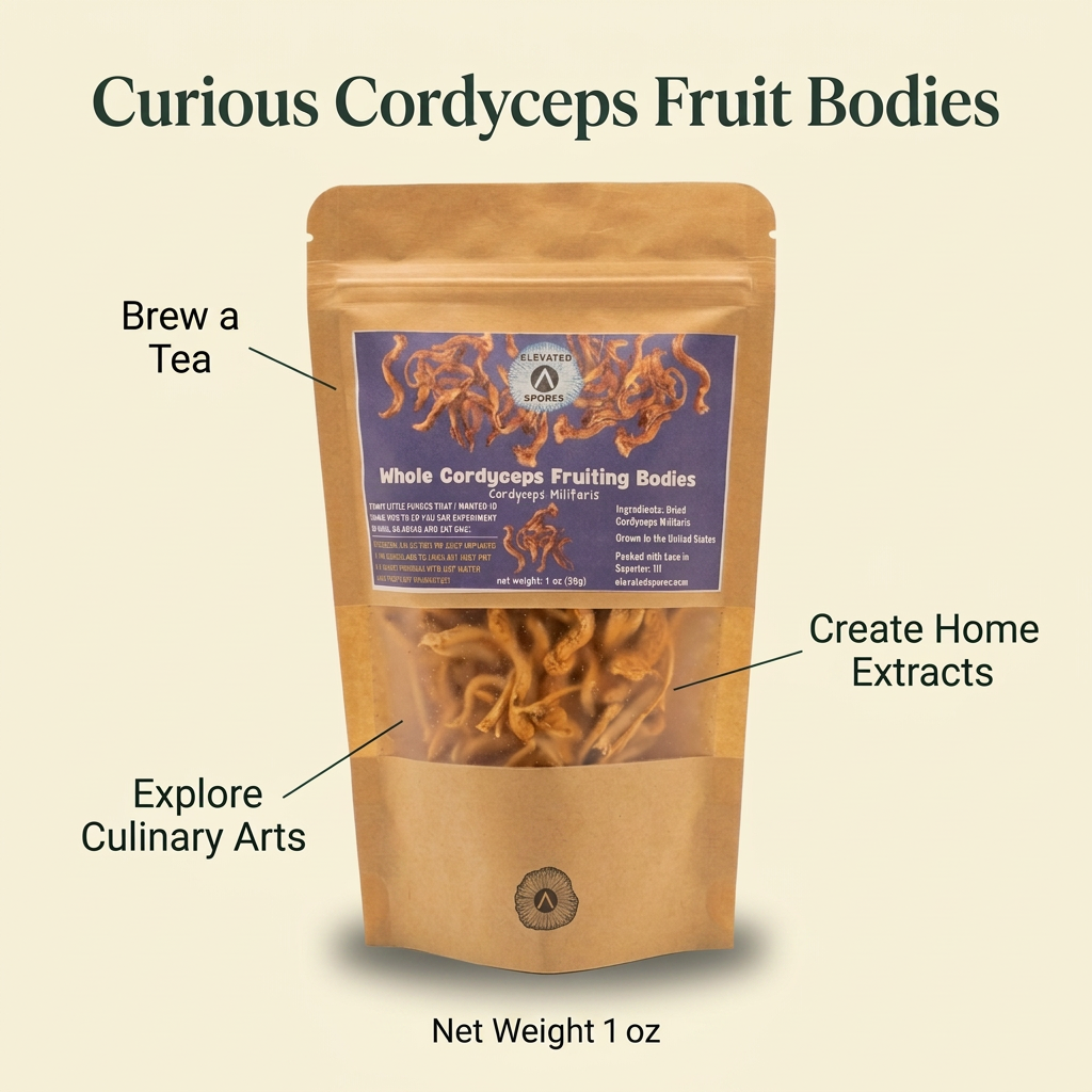 Dried Cordyceps Mushroom Fruit Bodies — 1 oz