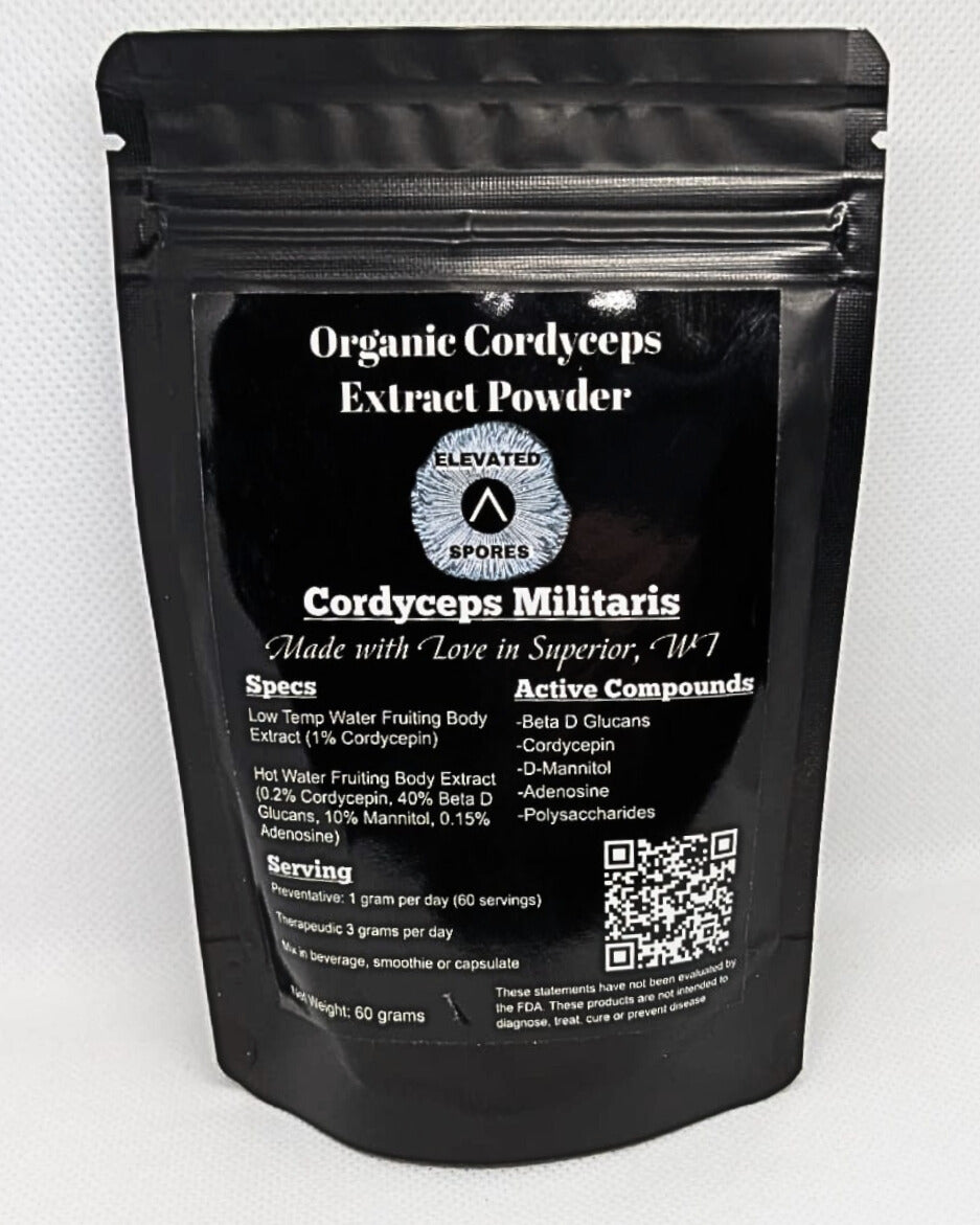 Cordyceps