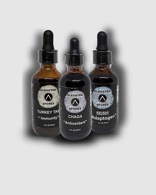 Extracts Bundle