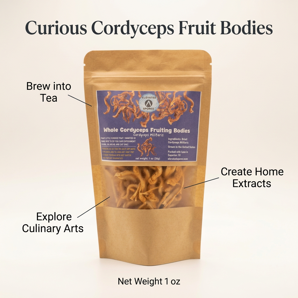Curious Cordyceps Fruit Bodies pouch with tea, home extraction, and culinary use callouts