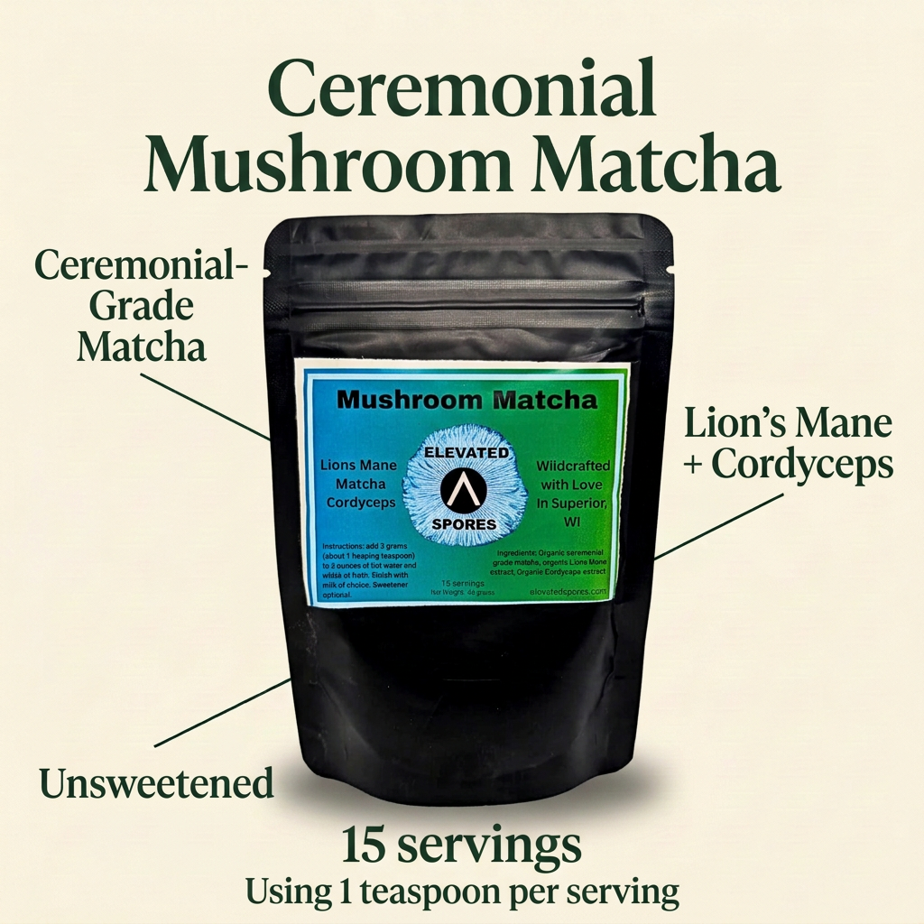 Elevated Spores Mushroom Matcha pouch with Ceremonial-Grade Matcha, Lion’s Mane + Cordyceps, Unsweetened, and 15 servings using 1 teaspoon per serving callouts