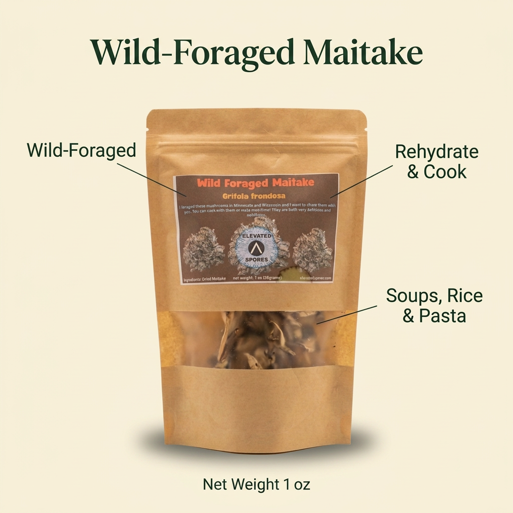 Wild-Foraged Maitake — Grifola frondosa, 1 oz