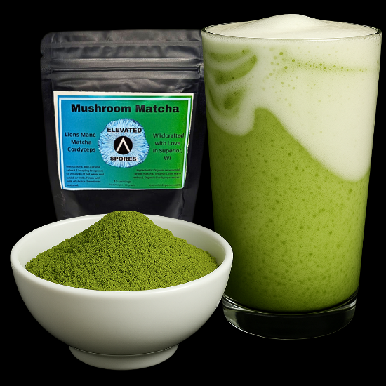 Mushroom Matcha