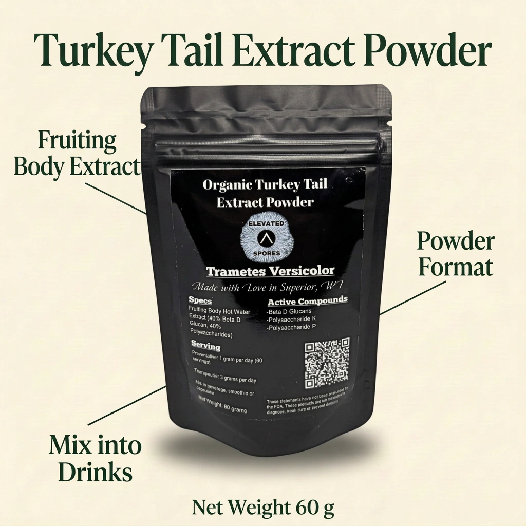 Turkey Tail Mushroom Extract (Powder)