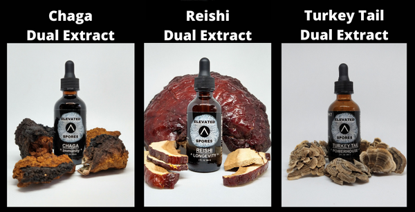 Extracts Bundle