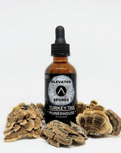 Turkey Tail Liquid Double Extract