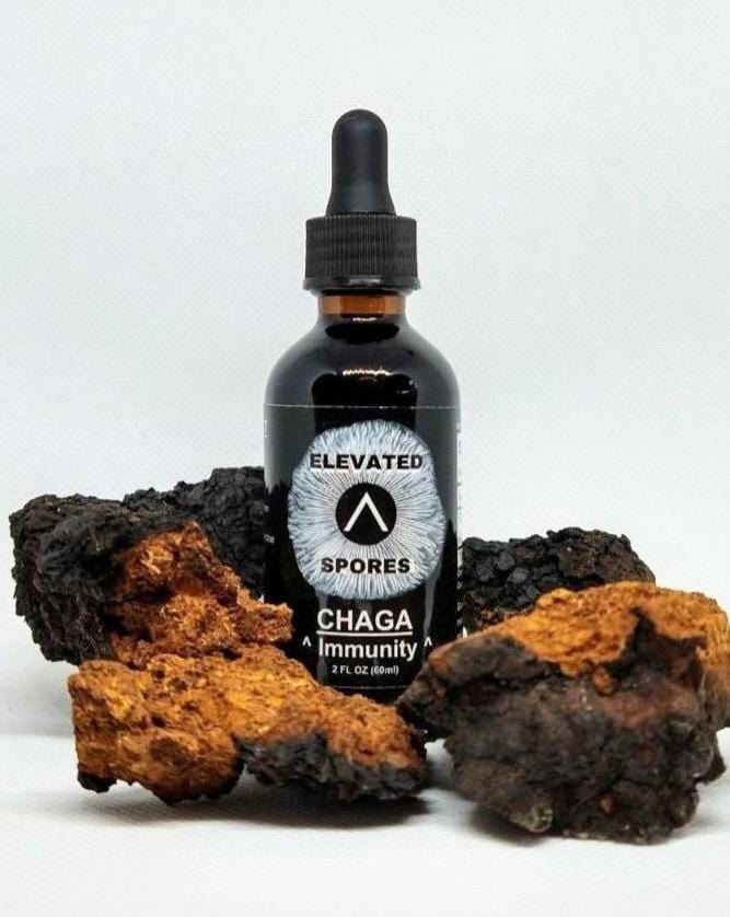 Chaga Liquid Double Extract