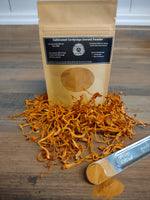 Cordyceps